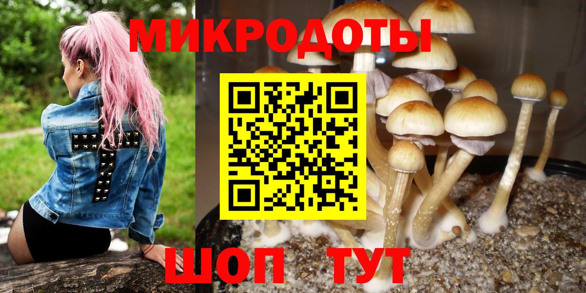 Галлюциногенные грибы Magic Shrooms  Вход с VPN  Сосновоборск  Псилоцибиновые грибы Magic Shrooms 
